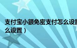 支付宝小额免密支付怎么设置2020（支付宝小额免密支付怎么设置）