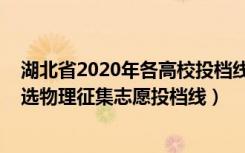 湖北省2020年各高校投档线（2022湖北高考本科普通批首选物理征集志愿投档线）