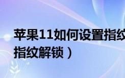 苹果11如何设置指纹开机（苹果11如何设置指纹解锁）