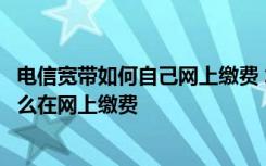 电信宽带如何自己网上缴费 怎么在网上交宽带费电信宽带怎么在网上缴费