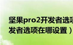 坚果pro2开发者选项在哪里（坚果pro2s开发者选项在哪设置）