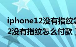 iphone12没有指纹怎么微信支付（iphone12没有指纹怎么付款）