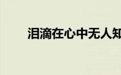 泪滴在心中无人知道（泪滴在琴上）