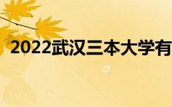 2022武汉三本大学有哪些（最新院校名单）