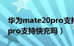 华为mate20pro支持4g频段（华为mate20pro支持快充吗）