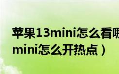 苹果13mini怎么看哪个工厂生产的（苹果13mini怎么开热点）