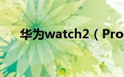 华为watch2（Pro智能手表怎么亮屏）