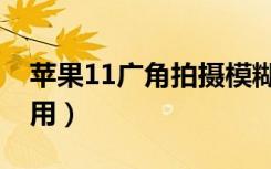 苹果11广角拍摄模糊（苹果11广角拍摄怎么用）