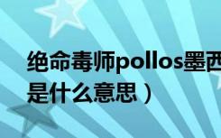 绝命毒师pollos墨西哥语什么意思（pollos是什么意思）