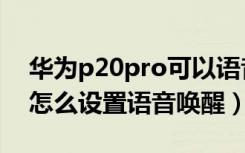 华为p20pro可以语音唤醒吗（华为p20pro怎么设置语音唤醒）