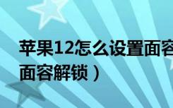 苹果12怎么设置面容解锁（苹果12怎么设置面容解锁）