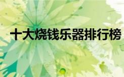 十大烧钱乐器排行榜（学什么乐器最费钱）