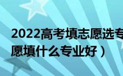 2022高考填志愿选专业知识（2022女生填志愿填什么专业好）