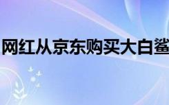 网红从京东购买大白鲨？京东回应：没有销售