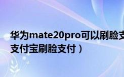 华为mate20pro可以刷脸支付吗（华为mate20x怎么设置支付宝刷脸支付）