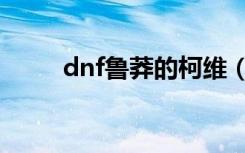 dnf鲁莽的柯维（dnf鲁莽的柯维）