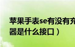 苹果手表se有没有充电器（苹果手表se充电器是什么接口）