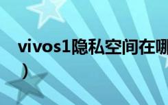 vivos1隐私空间在哪（vivoS1隐私空间在哪）