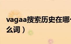 vagaa搜索历史在哪个文件夹（vagaa搜索什么词）