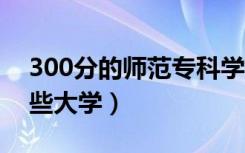 300分的师范专科学校有哪些（2021能上哪些大学）