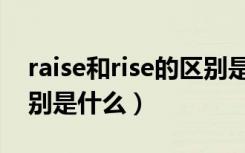 raise和rise的区别是什么（raise和rise的区别是什么）