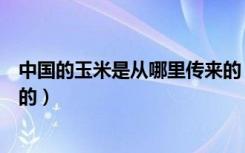 中国的玉米是从哪里传来的（玉米是谁在什么时候传入中国的）