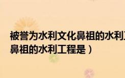 被誉为水利文化鼻祖的水利工程是（被誉为世界水利文化的鼻祖的水利工程是）