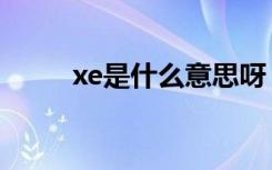 xe是什么意思呀（xe是什么意思）