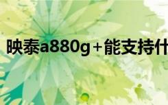 映泰a880g+能支持什么显卡（映泰a880g）