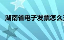 湖南省电子发票怎么开（湖南省电子地图）