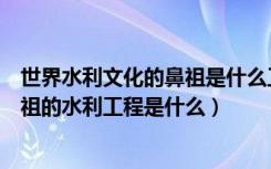 世界水利文化的鼻祖是什么工程（被誉为世界水利文化的鼻祖的水利工程是什么）