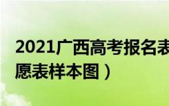 2021广西高考报名表模板（广西高考2022志愿表样本图）