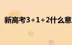 新高考3+1+2什么意思（新高考政策内容）