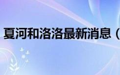 夏河和洛洛最新消息（夏河和洛洛最新照片）