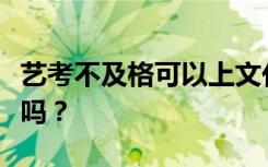 艺考不及格可以上文化课吗？可以考普通大学吗？