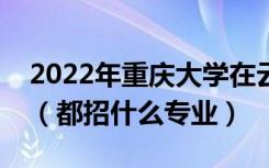 2022年重庆大学在云南招生计划及招生人数（都招什么专业）