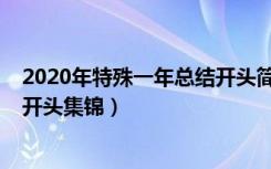 2020年特殊一年总结开头简短精辟（2020年特殊一年总结开头集锦）