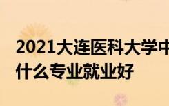 2021大连医科大学中山学院招生有哪些专业 什么专业就业好