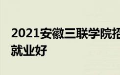 2021安徽三联学院招生有哪些专业 什么专业就业好