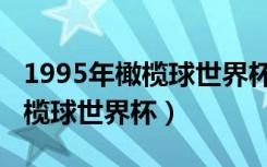 1995年橄榄球世界杯南非队战绩（1995年橄榄球世界杯）