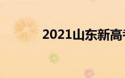 2021山东新高考物理模拟试题