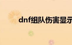 dnf组队伤害显示（dnf组队传送）