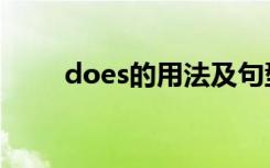 does的用法及句型（does的用法）