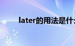 later的用法是什么（later的用法）