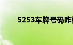 5253车牌号码咋样（5253赛尔号）