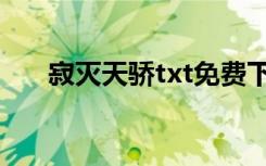 寂灭天骄txt免费下载（寂灭天骄txt）