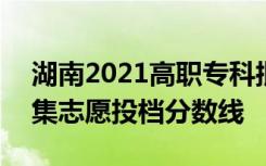 湖南2021高职专科批(职高对口类)第二次征集志愿投档分数线