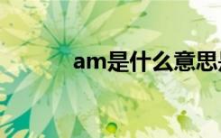 am是什么意思是上午还是下午