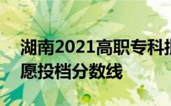 湖南2021高职专科批(艺术类)第二次征集志愿投档分数线