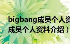 bigbang成员个人资料介绍身高（bigbang成员个人资料介绍）